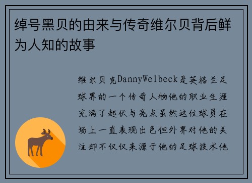 绰号黑贝的由来与传奇维尔贝背后鲜为人知的故事