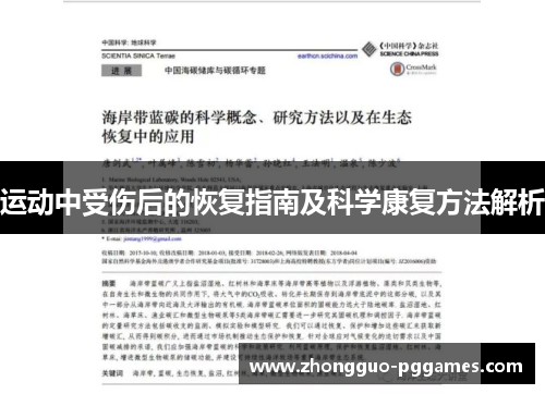 运动中受伤后的恢复指南及科学康复方法解析
