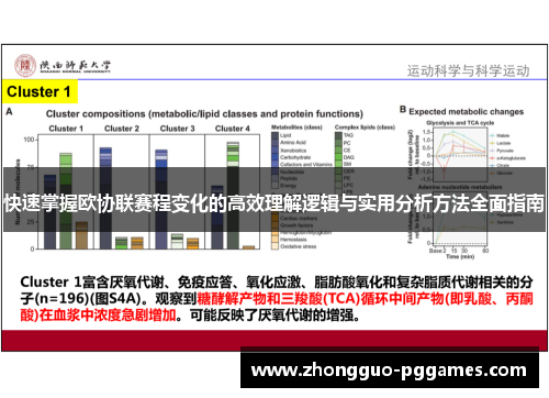 快速掌握欧协联赛程变化的高效理解逻辑与实用分析方法全面指南