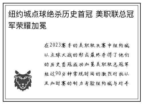 纽约城点球绝杀历史首冠 美职联总冠军荣耀加冕